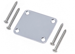 4 Hole Neckplate w/Screws • Chrome