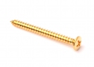 Neckplate Screw • Gold