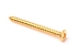 Neckplate Screw • Gold