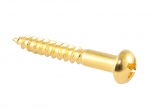 Tremolo Bridge Mounting Screw for Stratocaster® • Gold