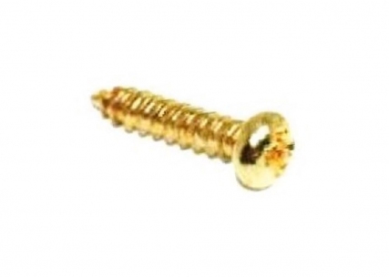 Tuning Machine Screw • Gold