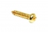 Tuning Machine Screw • Gold